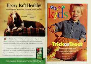 Better Homes & Gardens October 1996 Magazine Article: Page 238