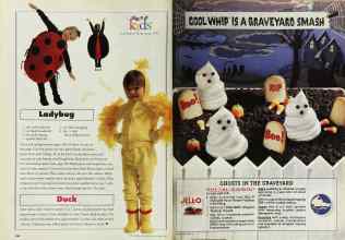 Better Homes & Gardens October 1996 Magazine Article: Page 244