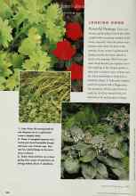 Better Homes & Gardens November 1996 Magazine Article: LOOKING GOOD