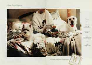 Better Homes & Gardens November 1996 Magazine Article: Page 6