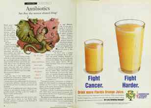 Better Homes & Gardens November 1996 Magazine Article: Page 72