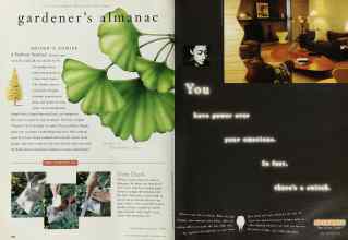 Better Homes & Gardens November 1996 Magazine Article: Page 102