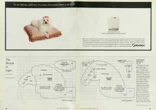 Better Homes & Gardens December 1996 Magazine Article: Page 48