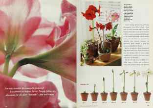 Better Homes & Gardens December 1996 Magazine Article: Page 102