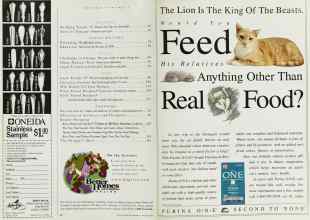 Better Homes & Gardens January 1997 Magazine Article: Page 6