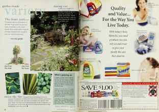 Better Homes & Gardens January 1997 Magazine Article: Page 42