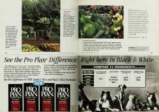 Better Homes & Gardens January 1997 Magazine Article: Page 82