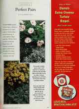 Better Homes & Gardens February 1997 Magazine Article: Perfect Pairs