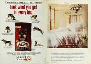 Better Homes & Gardens February 1997 Magazine Article: Page 30