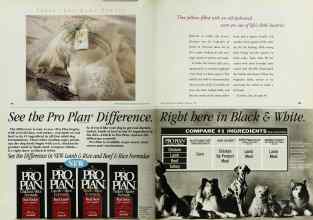 Better Homes & Gardens February 1997 Magazine Article: Page 44