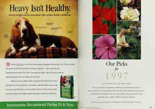 Better Homes & Gardens February 1997 Magazine Article: Page 104