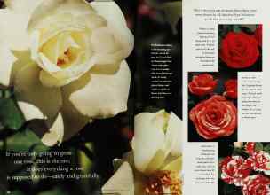 Better Homes & Gardens February 1997 Magazine Article: Page 106