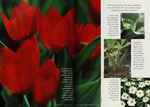 Better Homes & Gardens February 1997 Magazine Article: Page 112