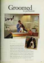 Better Homes & Gardens March 1997 Magazine Article: Groomed to perfection