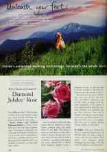 Better Homes & Gardens March 1997 Magazine Article: Diamond Jubilee Rose
