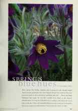 Better Homes & Gardens March 1997 Magazine Article: SPRING'S blue hues