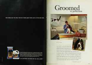 Better Homes & Gardens March 1997 Magazine Article: Page 60