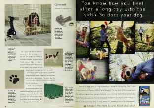 Better Homes & Gardens March 1997 Magazine Article: Page 64