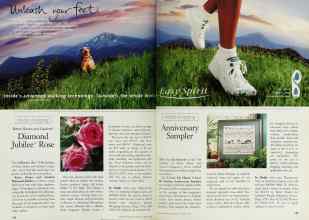 Better Homes & Gardens March 1997 Magazine Article: Page 142