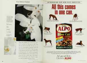 Better Homes & Gardens March 1997 Magazine Article: Page 150