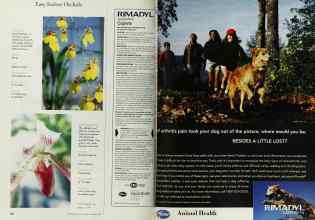 Better Homes & Gardens March 1997 Magazine Article: Page 152