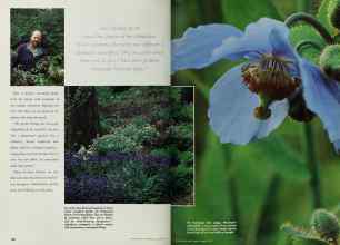 Better Homes & Gardens March 1997 Magazine Article: Page 158