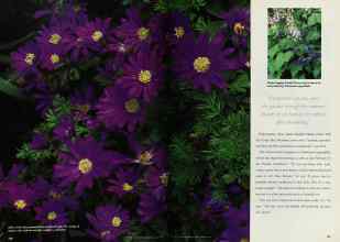 Better Homes & Gardens March 1997 Magazine Article: Page 160