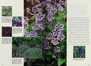 Better Homes & Gardens March 1997 Magazine Article: Page 162