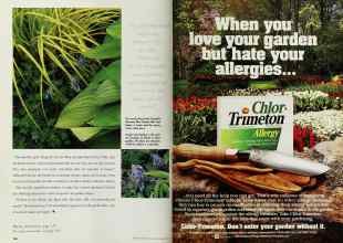 Better Homes & Gardens March 1997 Magazine Article: Page 164