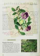 Better Homes & Gardens April 1997 Magazine Article: A Chameleon Climer