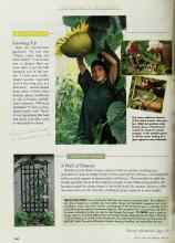 Better Homes & Gardens April 1997 Magazine Article: Growing Up