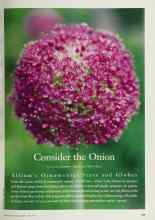 Better Homes & Gardens April 1997 Magazine Article: Consider the Onion