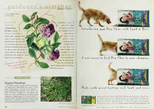 Better Homes & Gardens April 1997 Magazine Article: Page 142