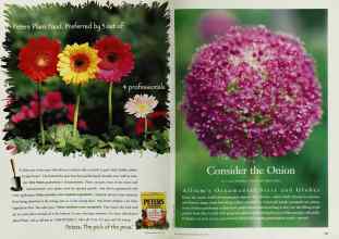 Better Homes & Gardens April 1997 Magazine Article: Page 146