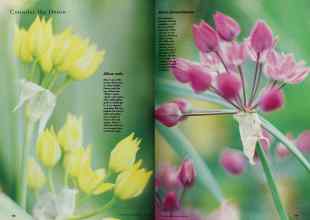 Better Homes & Gardens April 1997 Magazine Article: Page 148