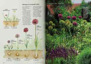 Better Homes & Gardens April 1997 Magazine Article: Page 150