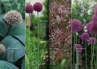 Better Homes & Gardens April 1997 Magazine Article: Page 152