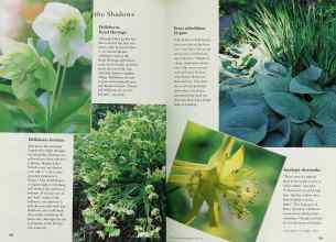 Better Homes & Gardens April 1997 Magazine Article: Page 158