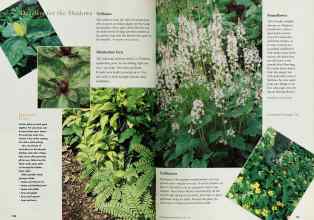 Better Homes & Gardens April 1997 Magazine Article: Page 160