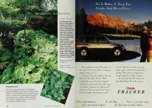 Better Homes & Gardens April 1997 Magazine Article: Page 162