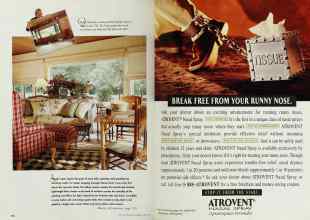 Better Homes & Gardens April 1997 Magazine Article: Page 174