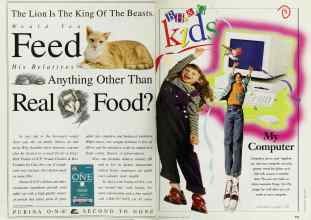 Better Homes & Gardens April 1997 Magazine Article: Page 248