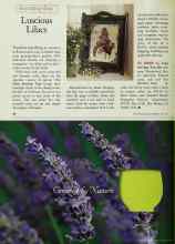 Better Homes & Gardens May 1997 Magazine Article: Luscious Lilacs