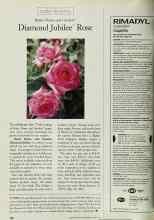 Better Homes & Gardens May 1997 Magazine Article: Diamond Jubilee Rose