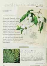 Better Homes & Gardens May 1997 Magazine Article: EDITOR'S CHOICE