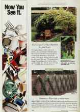 Better Homes & Gardens May 1997 Magazine Article: The Grapes Get Sun-Ripened So You Don't