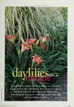 Better Homes & Gardens May 1997 Magazine Article: Daylilies like to mingle