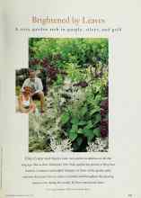 Better Homes & Gardens May 1997 Magazine Article: Brightened by Leaves