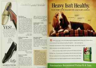 Better Homes & Gardens May 1997 Magazine Article: Page 18