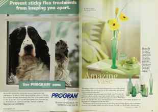 Better Homes & Gardens May 1997 Magazine Article: Page 32